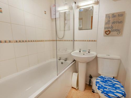 a bathroom with a toilet and a sink and a shower at Chalet 56 in Kingsdown