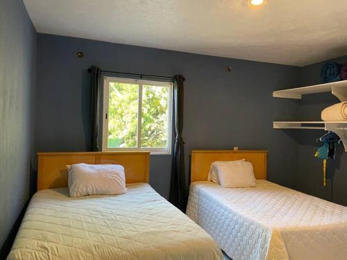 1 Schlafzimmer mit 2 Betten und einem Fenster in der Unterkunft casa de campo in San Juan Tecomatlán