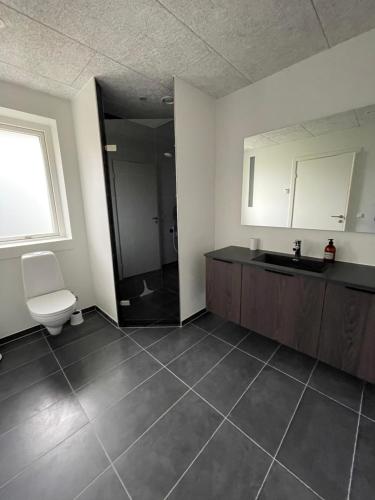 a bathroom with a toilet and a sink and a mirror at Nyt hus in Herning