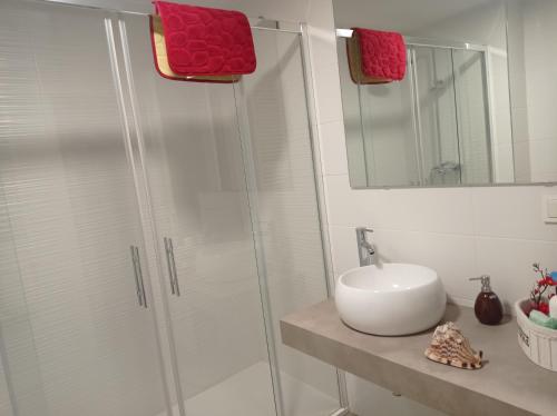 y baño con ducha acristalada y lavamanos. en CUATRO CAMINOS, en Zamora