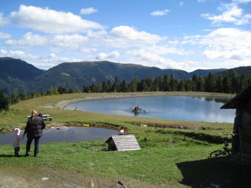 a woman and child standing next to a lake with a boat at Alpenferienhaus Kreischberg in Sankt Lorenzen ob Murau