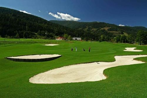 a group of people on a green golf course at Alpenferienhaus Sophia in Sankt Lorenzen ob Murau