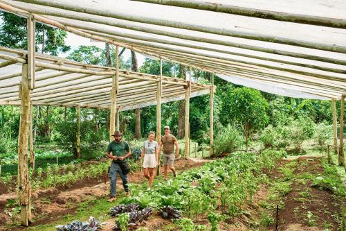 a group of three people standing in a vegetable garden at Finca Luna Nueva Lodge in Fortuna