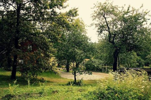 a park with trees and a dirt road at Chalupa Na Andělech in Žulová