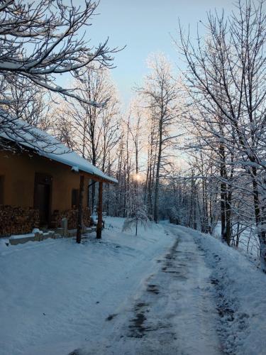 a snow covered road next to a house at Chalupa Na Andělech in Žulová