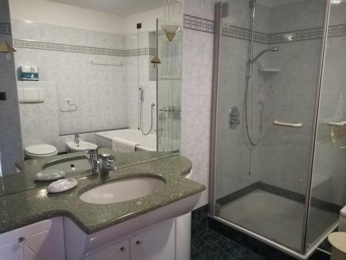 y baño con lavabo y ducha. en Appartamento Flora en Tesero