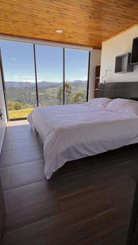 a bedroom with a large bed and large windows at Vaikuntha House in Bruselas