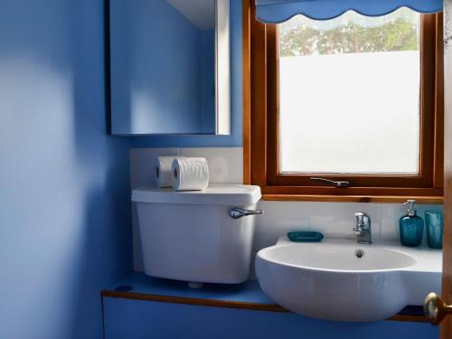 a bathroom with a toilet and a sink and a window at West End Cottage in Carrbridge