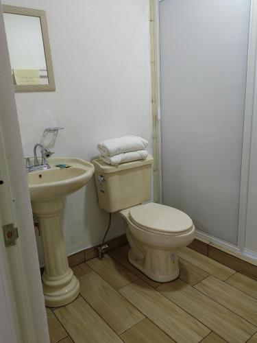 a bathroom with a toilet and a sink at Posada villa aurora in Bernal