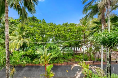 une route au milieu d'une forêt de palmiers dans l'établissement Ribbons Beachfront Apartments Clifton Beach, à Clifton Beach