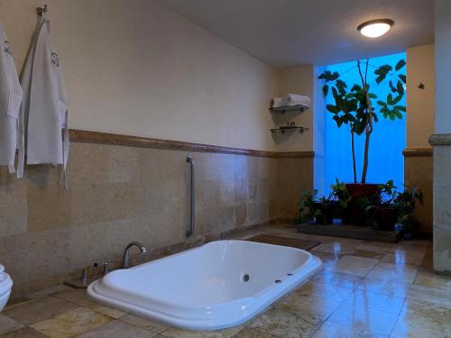 La salle de bains est pourvue d'une baignoire et d'une plante. dans l'établissement Estrella de Belem B&B and Spa, à Cholula