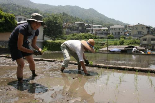 two people are standing in a muddy field at 88 House Hiroshima in Hiroshima