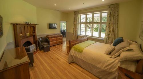 a bedroom with a bed and a fireplace and a television at Waipara River Estate in Waipara