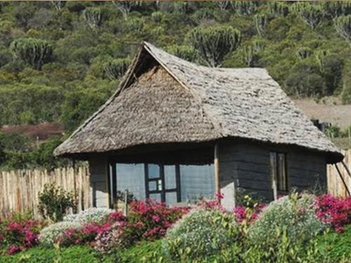 an old house with a thatched roof in a garden at Rhino Watch Safarilodge in Mweiga