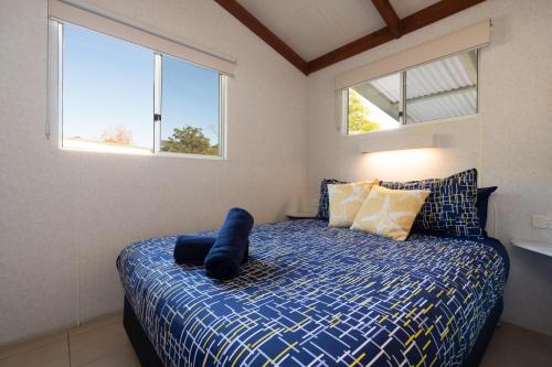a bedroom with a bed with a blue comforter and two windows at Tasman Holiday Parks - Myola in Callala Beach