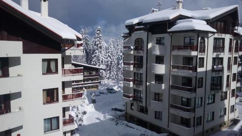 Το Apart Hotel Flora Residence Daisy τον χειμώνα