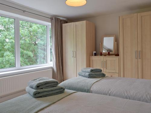 - une chambre avec 2 lits et une fenêtre dans l'établissement Tan Y Castell, à Lampeter-Velfrey