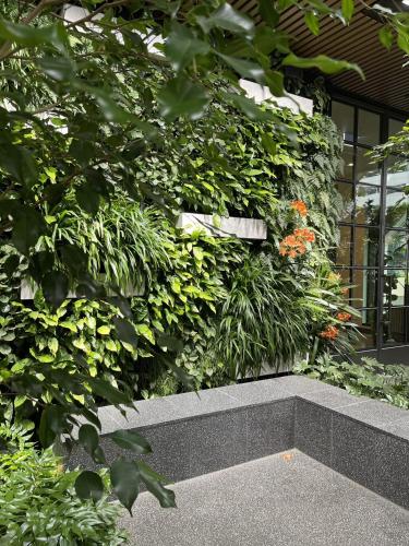a wall of plants with a bench in front of a building at Paragon Apartments by CLLIX in Melbourne