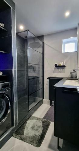 une salle de bain avec une douche en verre et un lavabo dans l'établissement Le Perchoir, High-end & Panoramic View, à Troyes