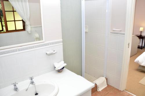 a bathroom with a sink and a mirror at Lythwood Lodge in Lidgetton