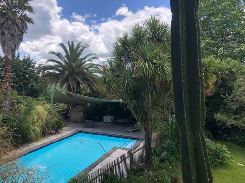 a swimming pool in a garden with palm trees at Flowerhaven - glamping dome in Hamilton