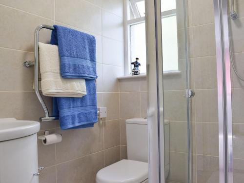 a bathroom with a toilet and a shower with blue towels at Stonecot in Wootton Bridge