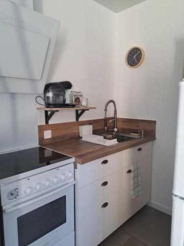 une cuisine avec un évier et une cuisinière dans l'établissement Studio dans maison avec jardin et balcon, au calme, à Sérézin-du-Rhône