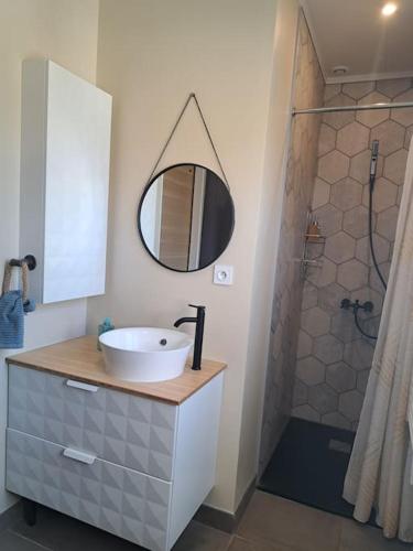 une salle de bain avec un lavabo et une douche avec un miroir dans l'établissement Studio dans maison avec jardin et balcon, au calme, à Sérézin-du-Rhône