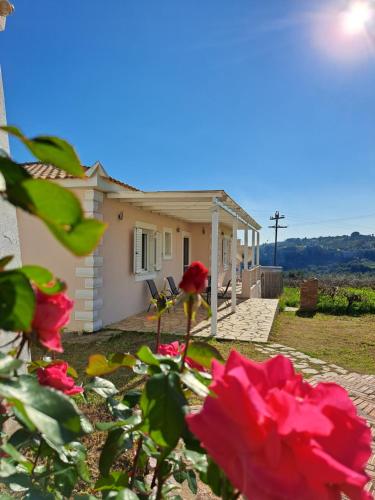 Vasilopoulos Estate