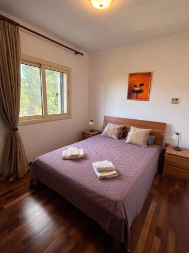 Un dormitorio con una cama con dos toallas encima. en Amorosa Beach Villa 14, en Neo Chorio