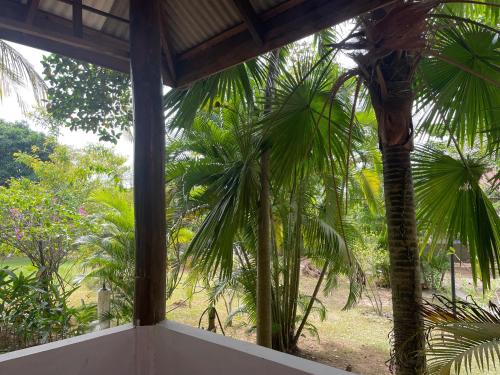 a room with a view of a palm tree at Kep Lodge in Kep
