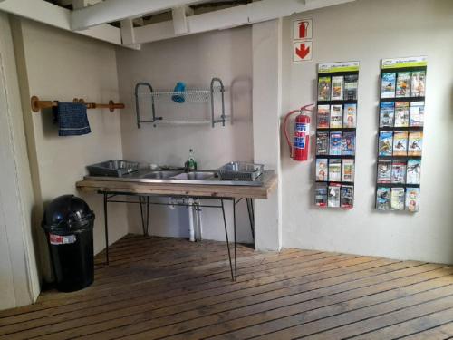 uma cozinha com um lavatório e uma lata de lixo em Island Vibe Knysna em Knysna