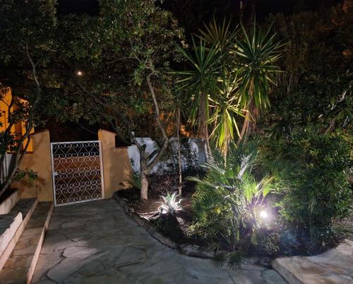 a garden at night with palm trees and lights at Le Cosy in Saint-Aygulf