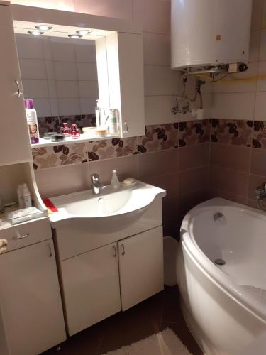 阿巴茲洛克的住宿－Karkusz Apartman，一间带水槽、卫生间和镜子的浴室