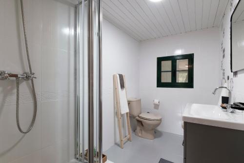 y baño blanco con aseo y ducha. en A Casa de Andrea, en A Coruña