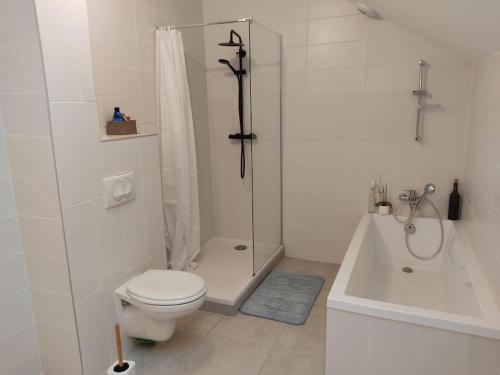 a white bathroom with a shower and a toilet at Belle maison au calme à 20 min d'Annecy - Vaulx in Vaulx