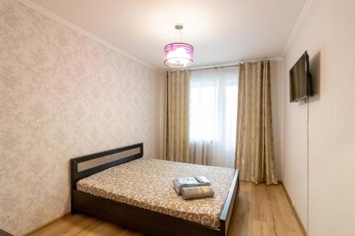 キーウにあるKvartirkoff na Geroev Dnepra 36 bのベッドルーム(ベッド1台、テレビ、窓付)