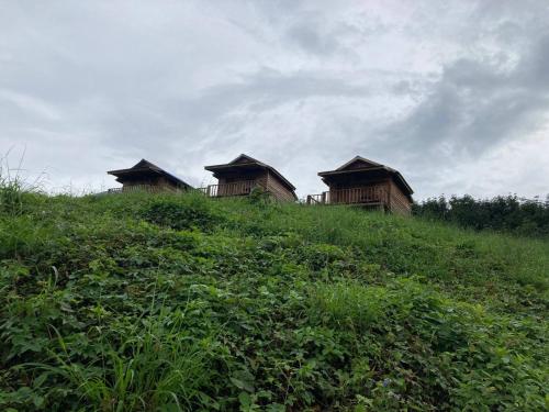 tre capanne in cima a una collina erbosa di Natural House Farm Stay a Môndól Kiri