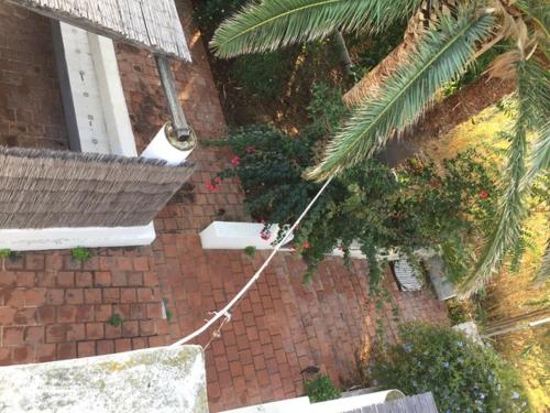 an overhead view of a brick building with a rope at Ca Balena piccola e grande in Stromboli