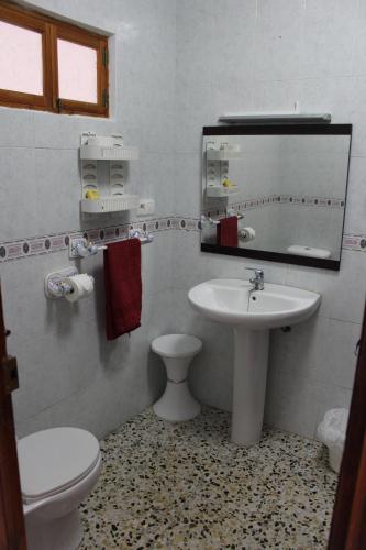 W łazience znajduje się umywalka, toaleta i lustro. w obiekcie Casa Estrella de las nieves La Alpujarra w mieście Bérchules