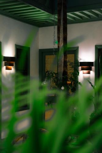 a blurry picture of a living room with plants at Riad Lalla Mimouna in Marrakech