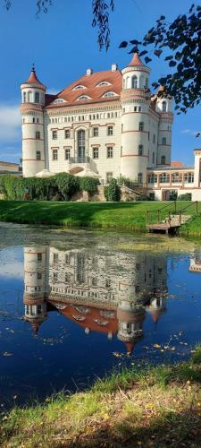 a large white building with a reflection in the water at Apartament Nina in Jelenia Góra
