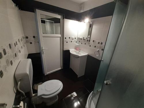 a bathroom with a white toilet and a sink at Cabana Colț de Rai in Arieşeni