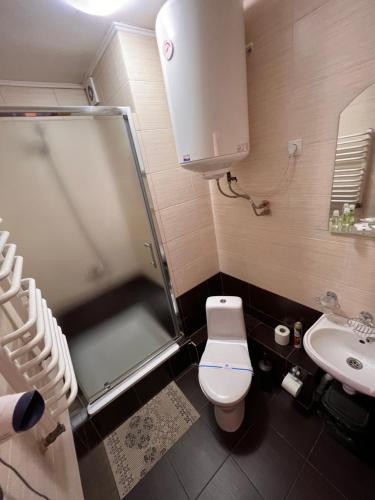 a bathroom with a shower and a toilet and a sink at Панорама гір in Bukovel