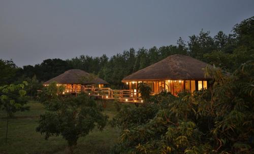 a couple of huts with lights in a field at Jaagir Manor, Dudhwa - IHCL SeleQtions in Paliā Kalān