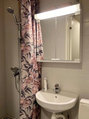 La salle de bains est pourvue d'un lavabo et d'un rideau de douche. dans l'établissement Viehättävä asunto Heinolan keskustassa, à Heinola