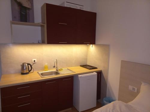 a small kitchen with a sink and a counter top at Asuka Apartmani 飞鸟客 in Surčin