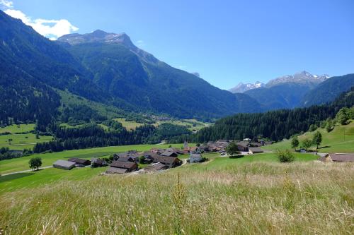 un village dans une vallée avec des montagnes en arrière-plan dans l'établissement La Grobla - Die ruhige & heimelige Ferienwohnung, à Zillis