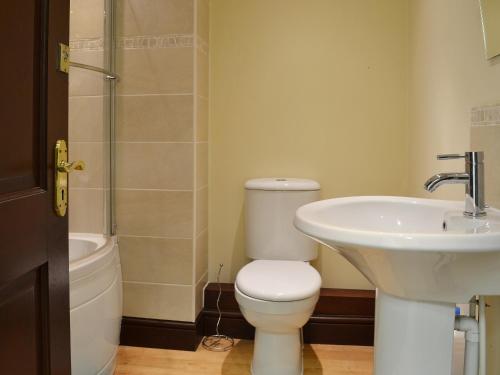 uma casa de banho com um WC e um lavatório em Barnex em Clippesby