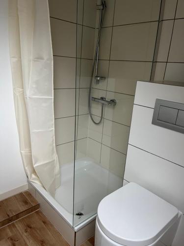 a bathroom with a shower and a toilet at Deich Winde 9.2 in Dorum Neufeld